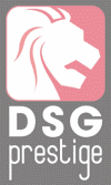 DSG Prestige with Magnitude Finance